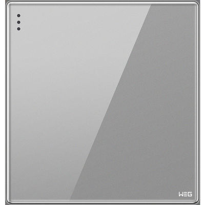 Grijze Opgezette de Stopcontactdoos van W81Q/1Y USB Muur