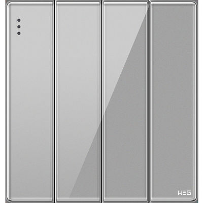 Zilveren Elektrische de Muurcontactdoos van Gray Standard 10A W84Q/2Y van het Legeringszadel