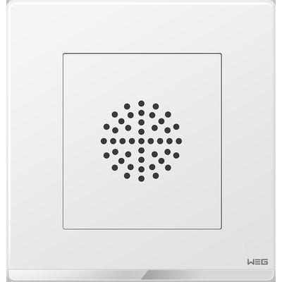 Dikke Antiroest Opgezette de Stopcontactdoos van de Staalplaat W7SG 250V 10A Muur