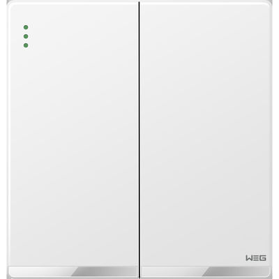 De zilveren Contactdoos van de Legerings Witte 10A W72Q/2Y Oppervlakte Opgezette Stop